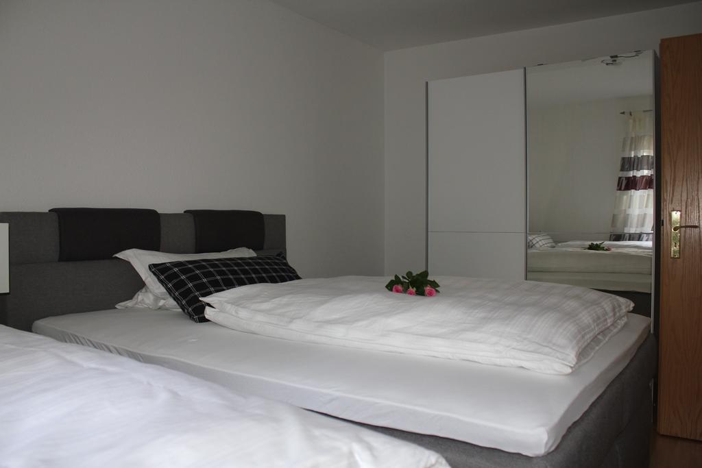 Apartment Schiller Lörrach Kültér fotó